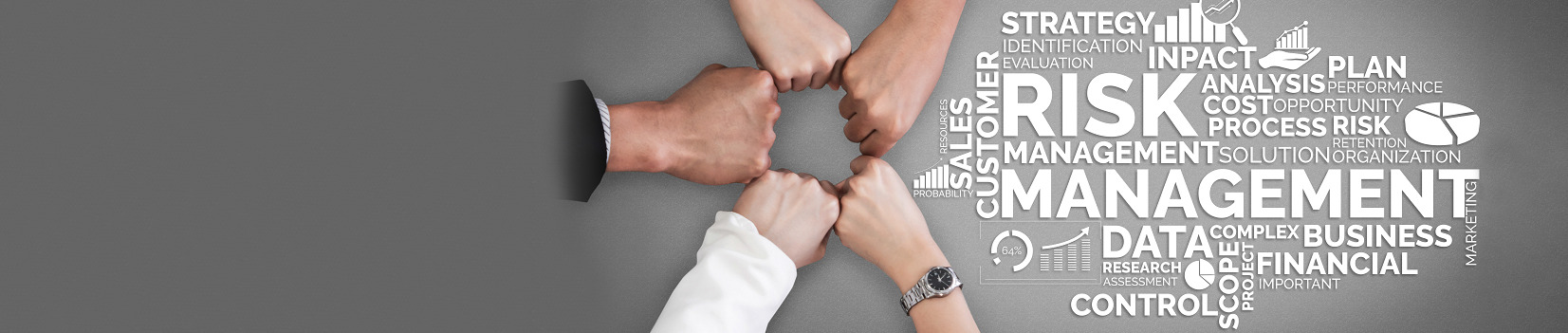 Berkley Southeast Group Risk Management